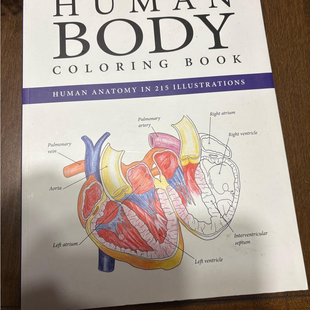 Human Body Coloring Book